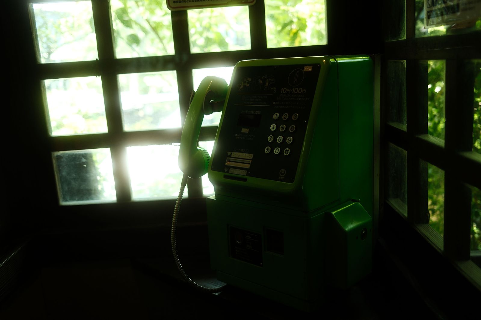 Green payphone in a leafy booth